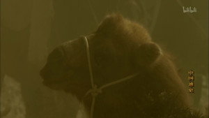 Épisode 86
