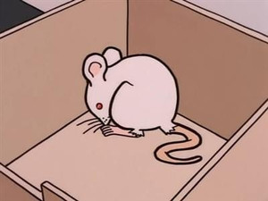 Des souris et des mômes