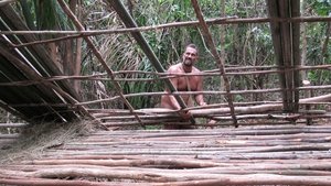 Vive la jungle