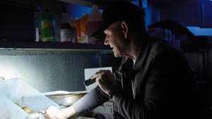 Épisode 7
