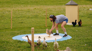 More chickens and French opening