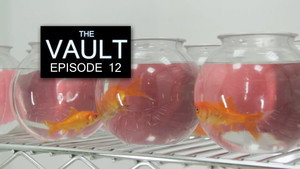 Épisode 12