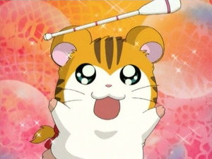 La chanson de Tigrette