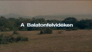 Épisode 12