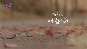 Épisode 81