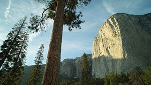Yosemite