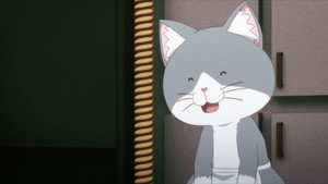 Épisode 12