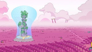 L'océan fuchsia