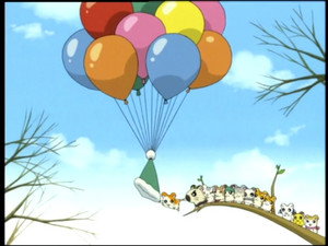 Les Ham-Hams volent !