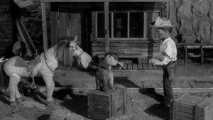 Épisode 35