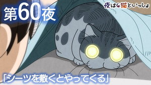 Épisode 60