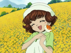 Les tournesols géants