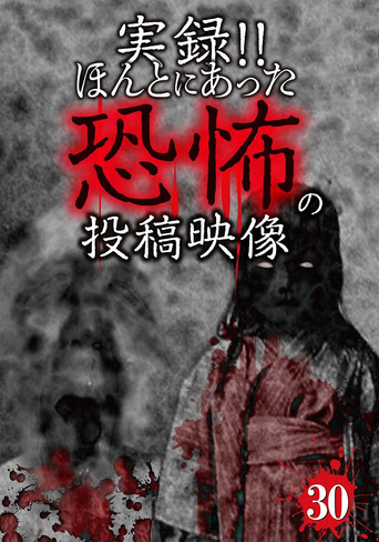 実録!! ほんとにあった恐怖の投稿映像 30