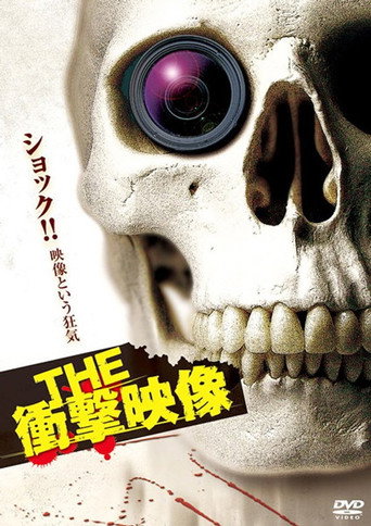 THE 衝撃映像