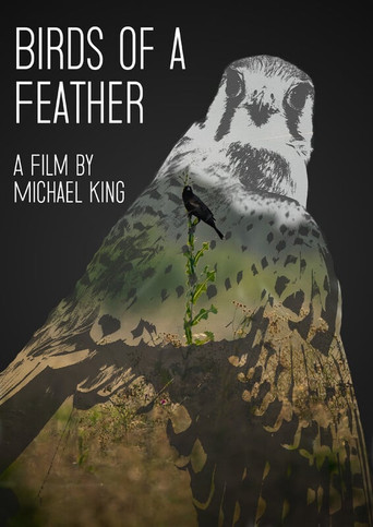 Birds of a Feather