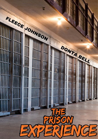 The Prison Experience