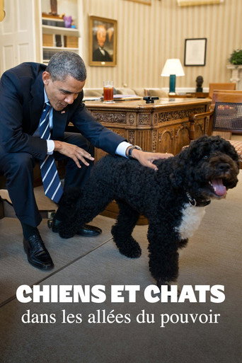 Chiens et chats dans les allées du pouvoir