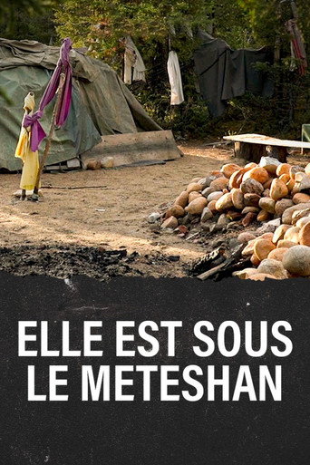 Elle est sous le Meteshan