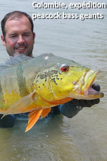 Colombie, expédition peacock bass geants