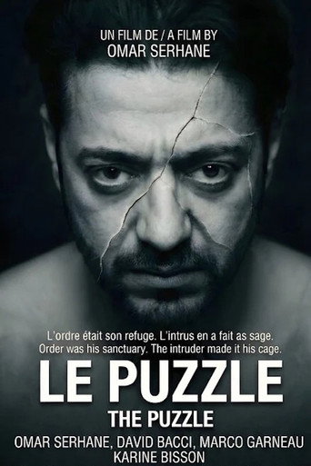 The Puzzle
