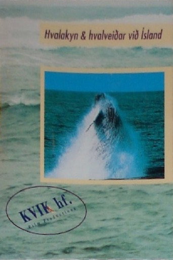 Hvalakyn og hvalveiðar við Ísland