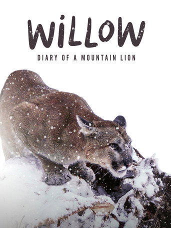 Willow: Diary of a Mountain Lion