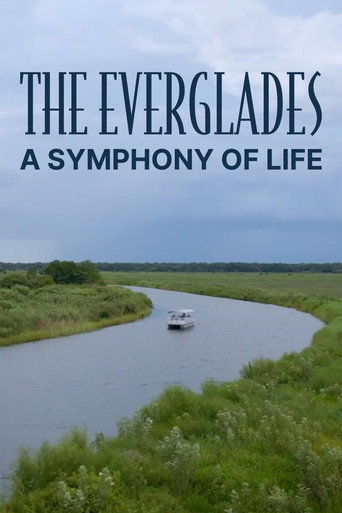 The Everglades: A Symphony of Life
