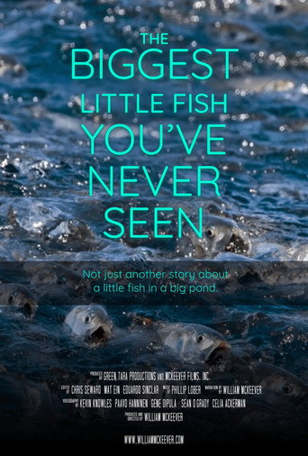 The Biggest Little Fish You've Never Seen