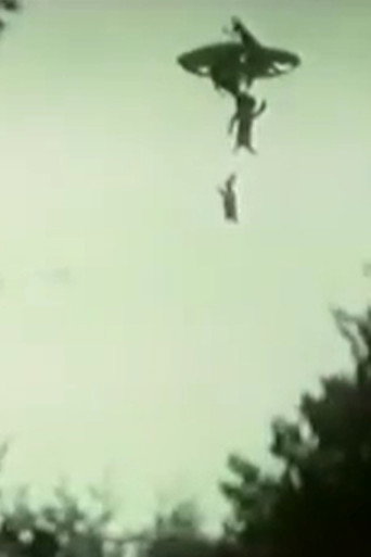 UFO Over the Village of Kljuch
