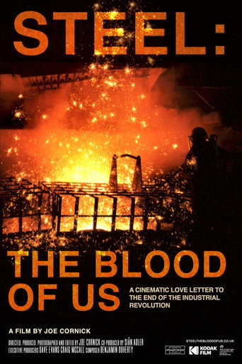 Steel: The Blood Of Us