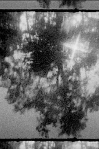 In the Darkness