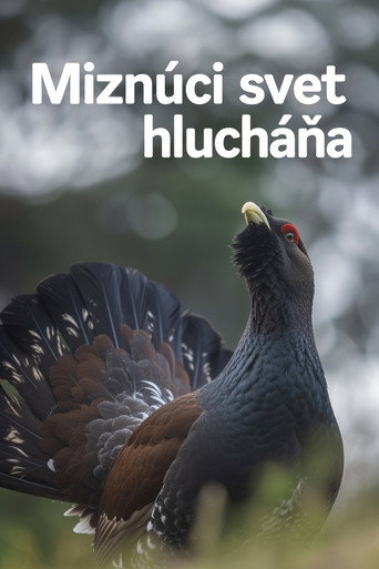 Miznúci svet hlucháňa