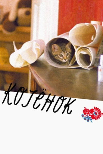 The Little Cat