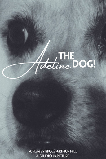 Adeline The Dog!