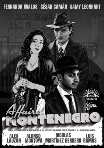 The Montenegro Affair