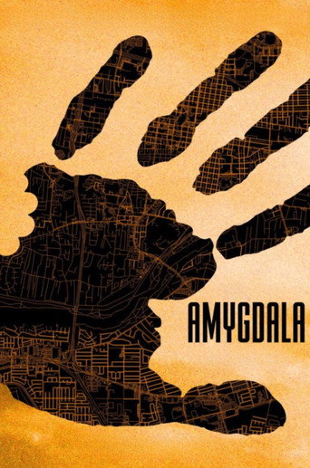 AMYGDALA