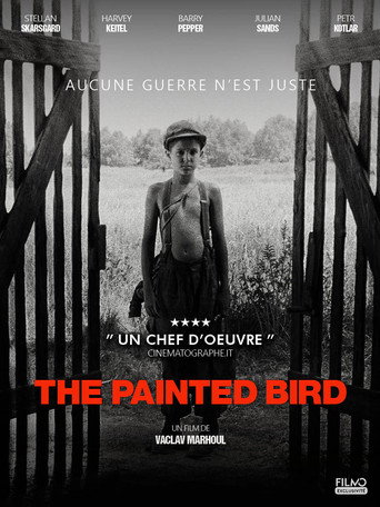 L'Oiseau bariolé