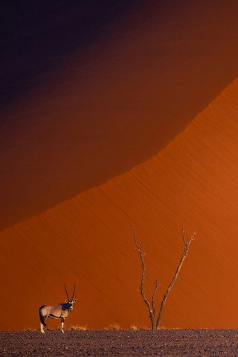 Namibie : exceptionnelle par nature