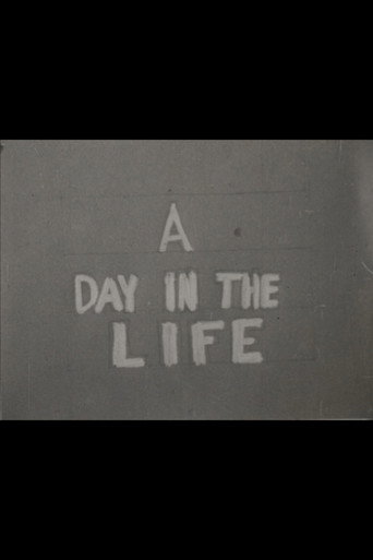 A Day in the Life