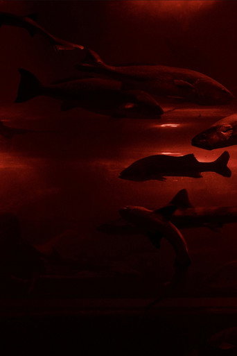 Red Wave​