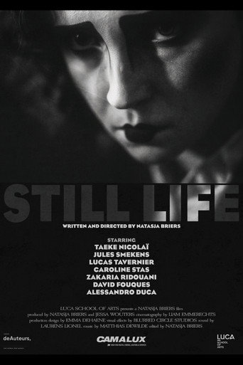 Still Life