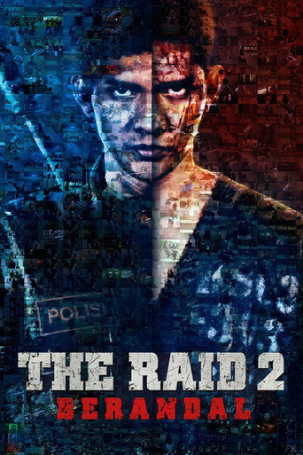 The Raid 2