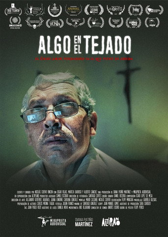 Algo en el tejado