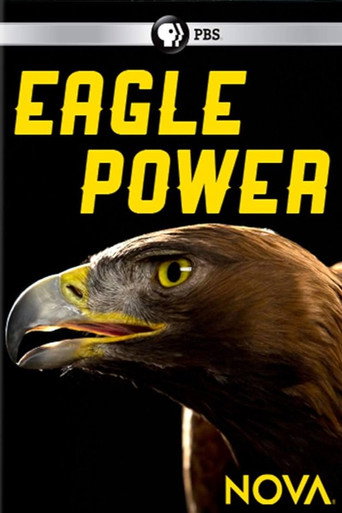 Eagle Power