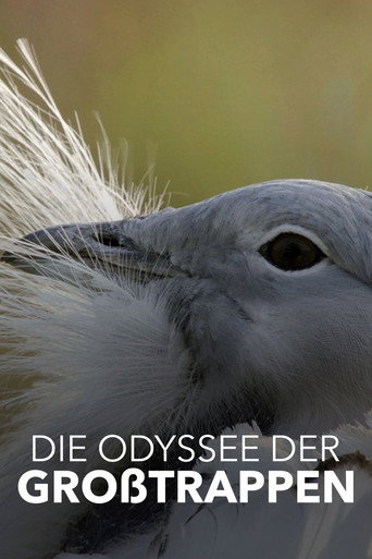 Glorious Bustards