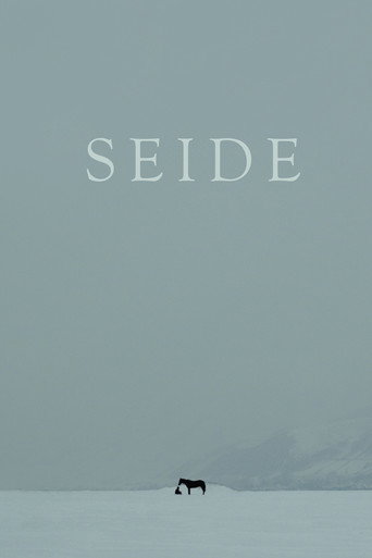 Seide