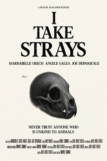 I TAKE STRAYS