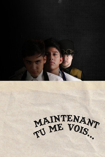 Maintenant Tu Me Vois...