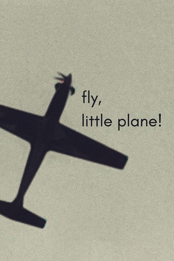 fly, little plane!