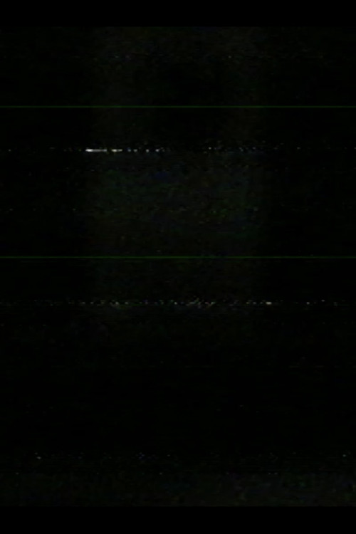 window at night